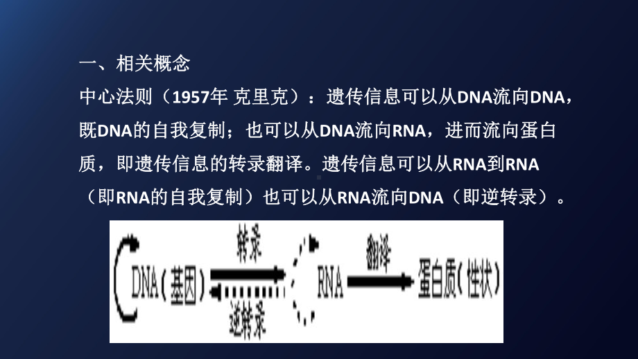 （新教材）2019新人教版高中生物必修二4.2基因表达与性状的关系课件.pptx_第2页