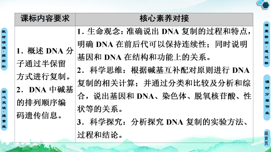 （新教材）2019人教版高中生物必修二第3章第3节DNA的复制第4节基因通常是有遗传效应的DNA片段课件.ppt_第2页