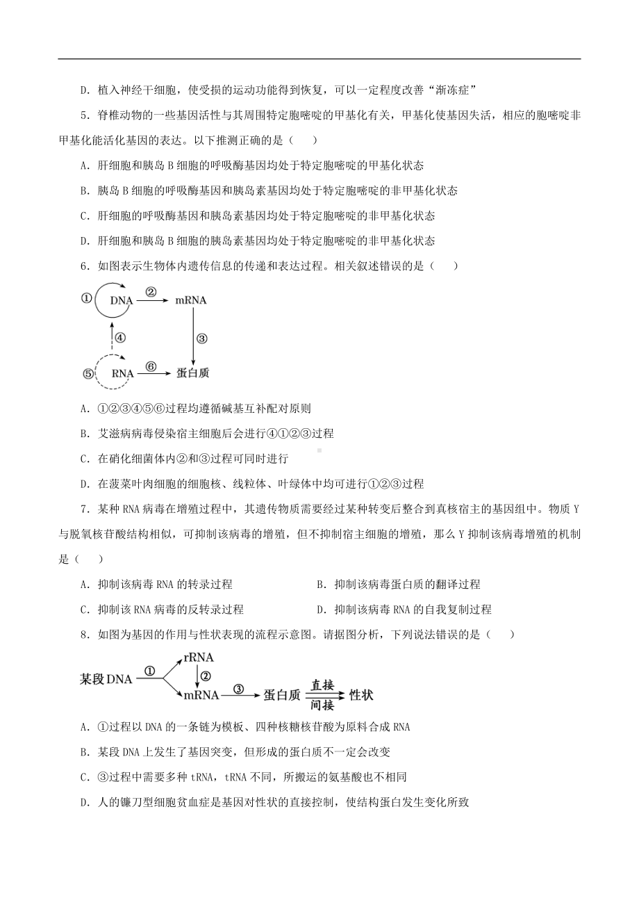 （新教材）2019人教版高中生物必修二暑假训练5基因的表达 学生版.docx_第2页