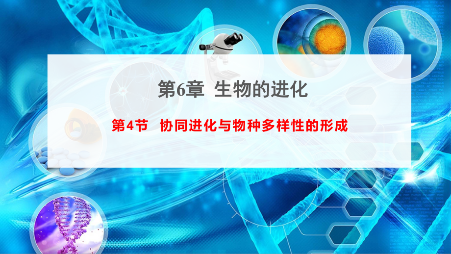 （新教材）2019新人教版高中生物必修二6.4协同进化与生物多样性的形成ppt课件.ppt_第1页