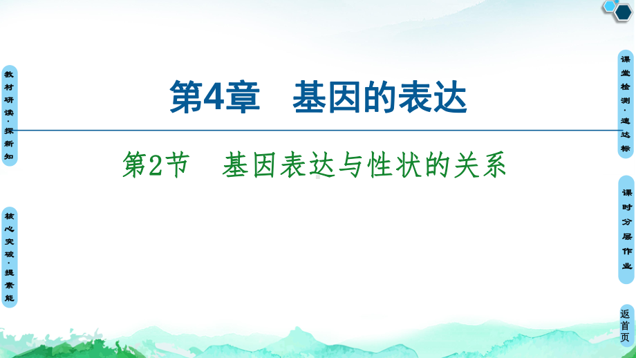 （新教材）2019新人教版高中生物必修二第4章第2节基因表达与性状的关系课件.ppt_第1页