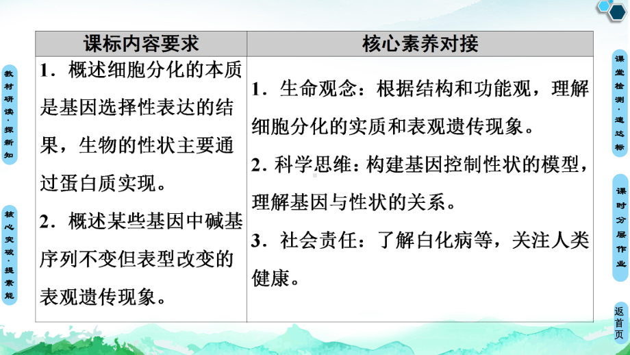 （新教材）2019新人教版高中生物必修二第4章第2节基因表达与性状的关系课件.ppt_第2页