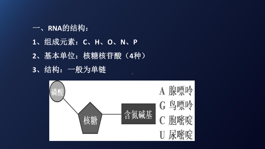 （新教材）2019新人教版高中生物必修二4.1基因指导蛋白质的合成课件.pptx_第2页