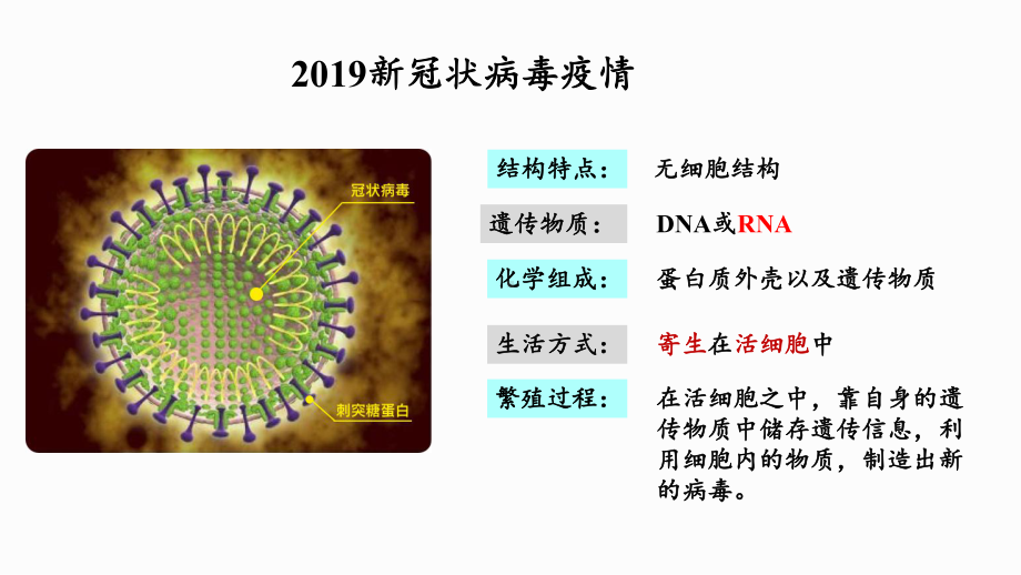 （新教材）2019新人教版高中生物必修一1.1细胞是生命活动的基本单位ppt课件.ppt_第2页