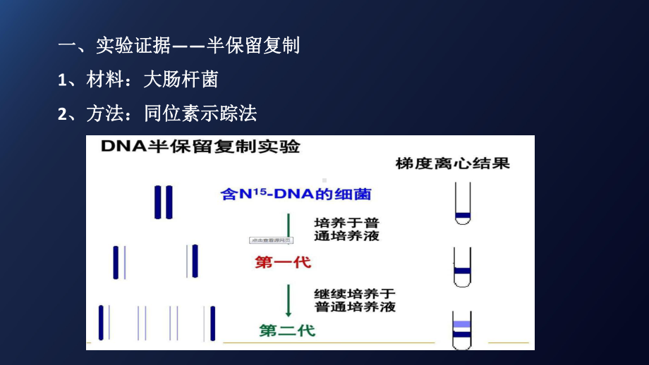 （新教材）2019新人教版高中生物必修二3.3DNA的复制课件.pptx_第2页