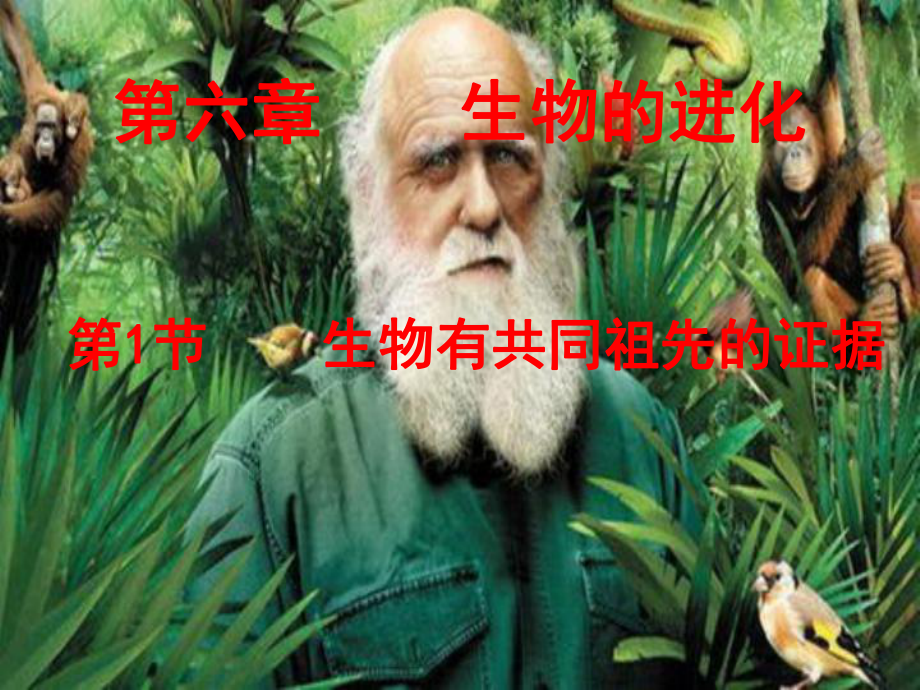 （新教材）2019新人教版高中生物必修二6.1我们有共同祖先的证据ppt课件.pptx_第1页