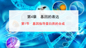 （新教材）2019新人教版高中生物必修二4.1基因指导蛋白质的合成 ppt课件.ppt