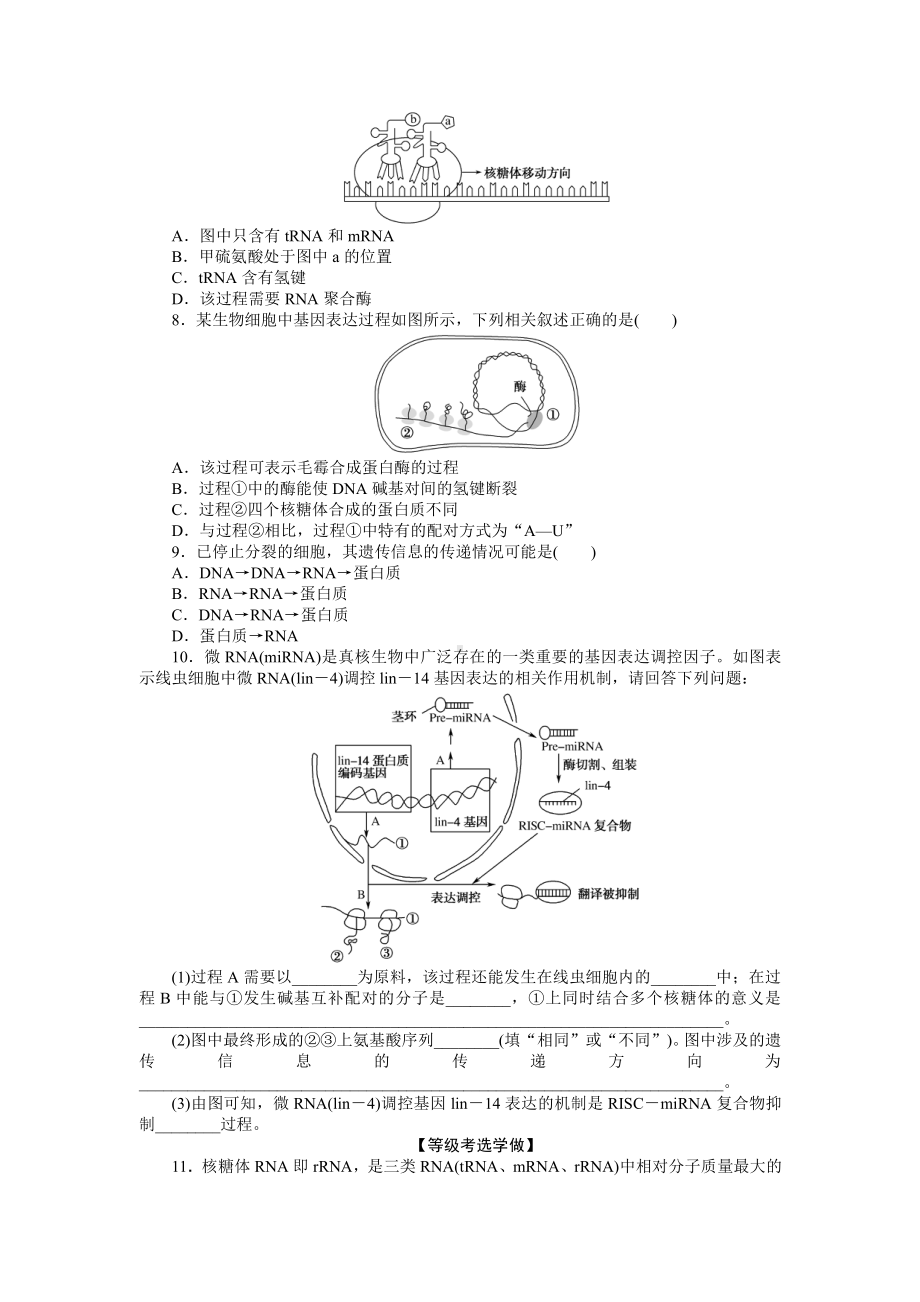 （新教材）2019人教版高中生物必修二13基因指导蛋白质的合成课后作业.doc_第2页