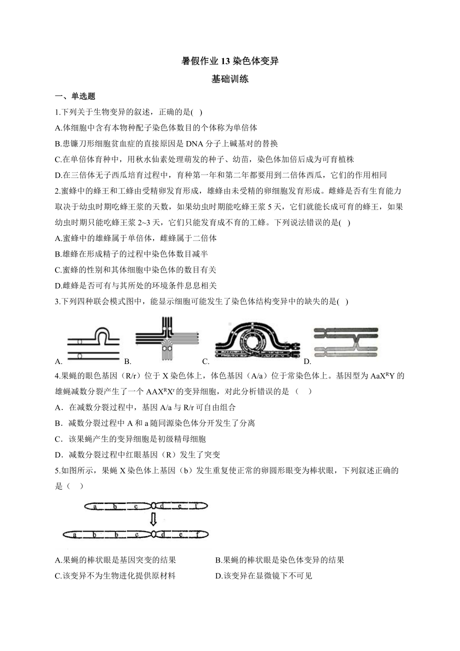 （新教材）2019人教版高中生物必修二暑假作业13 染色体变异 基础训练.docx_第1页