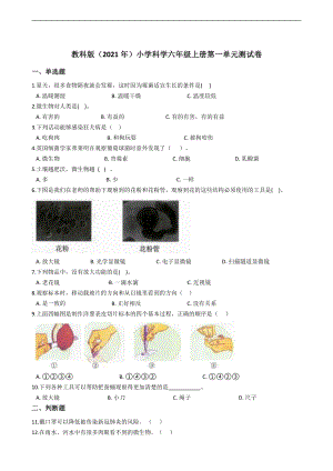 2021新教科版六年级上册《科学》第一单元微小世界测试卷（含答案解析）.docx