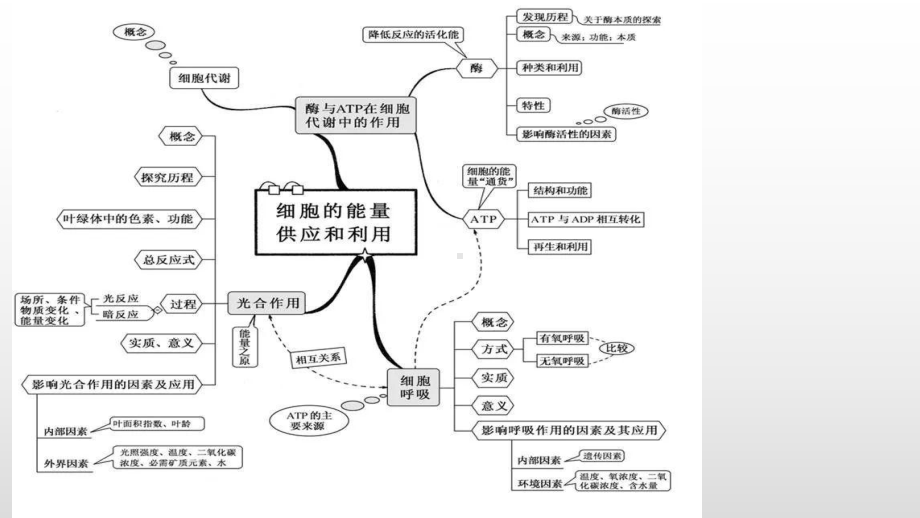 3.1 ATP是细胞内的“能量通货” ppt课件-（新教材）2019新浙科版高中生物必修一.pptx_第3页