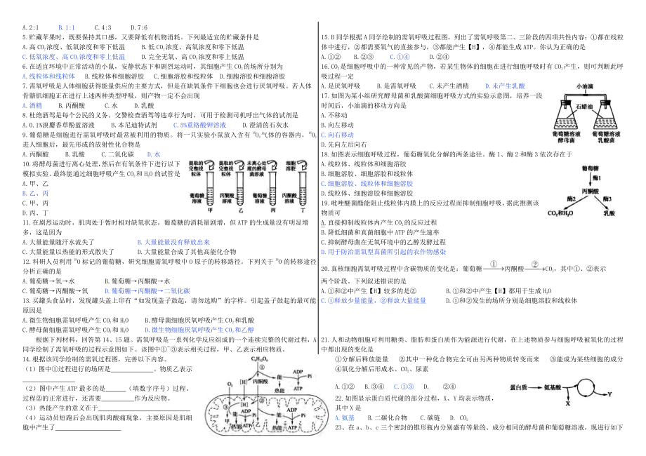 3.4细胞呼吸为细胞生活提供能量学案-（新教材）2019新浙科版高中生物必修一.doc_第2页