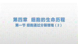 4.1 细胞通过分裂增殖（2） ppt课件-（新教材）2019新浙科版高中生物必修一.pptx