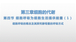 3.4 细胞呼吸为细胞生活提供能量（1）细胞呼吸的概念及其探究酵母菌的呼吸方式 ppt课件-（新教材）2019新浙科版高中生物必修一.pptx