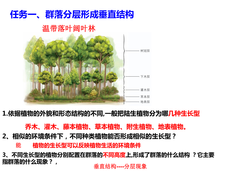 2.2群落具有垂直、水平时间结构ppt课件-（新教材）2019新浙科版高中生物选择性必修二.ppt_第2页