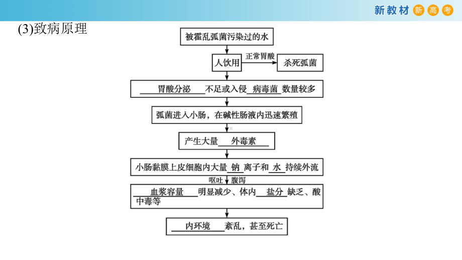 1.2内环境的稳态保障正常生命活动 ppt课件-（新教材）2019新浙科版高中生物选择性必修一.pptx_第3页