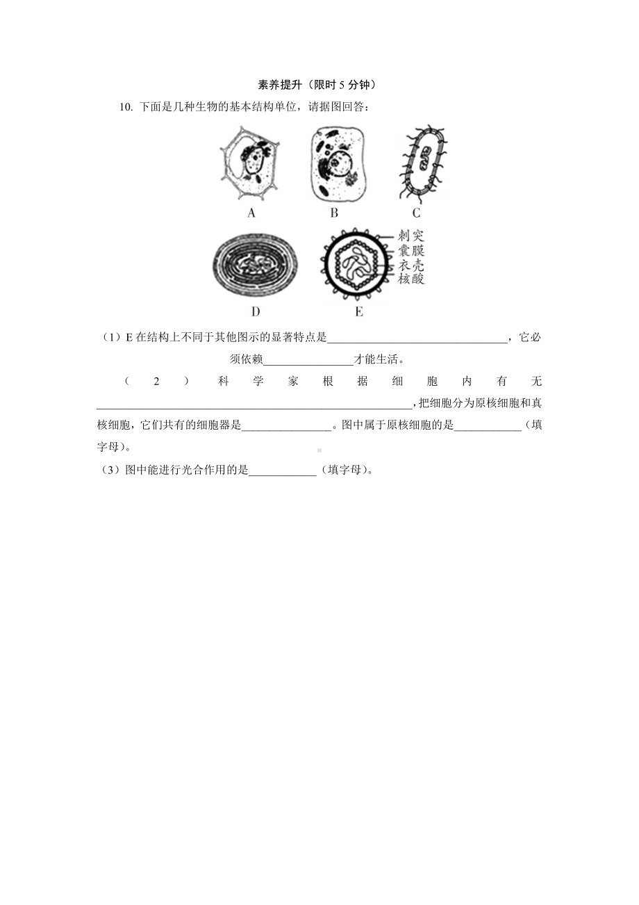 2.6原核细胞内无成形的细胞核 课后作业 -（新教材）2019新浙科版高中生物必修一.doc_第3页