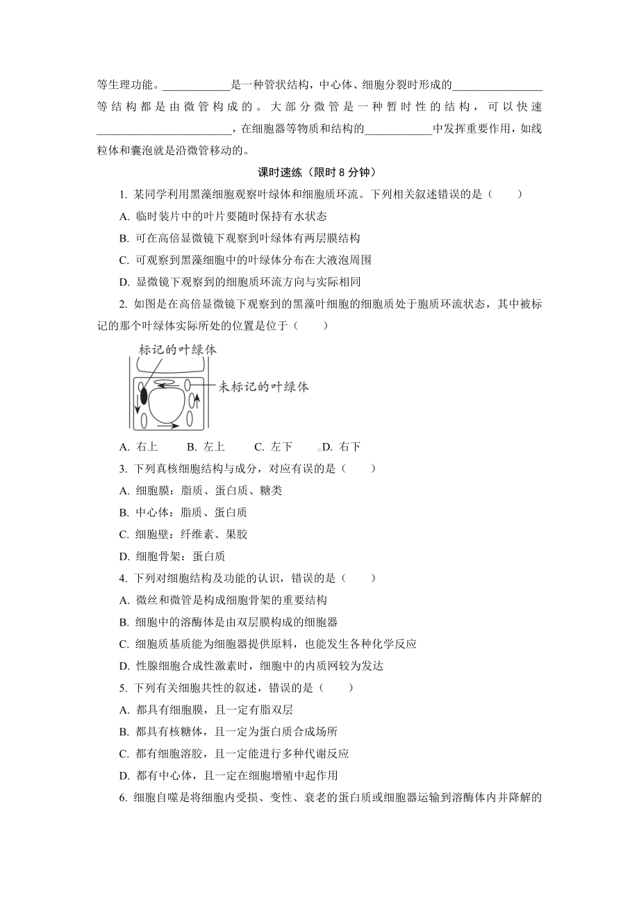 2.3.2 细胞质是多项生命活动的场所 随堂作业-（新教材）2019新浙科版高中生物必修一.doc_第2页