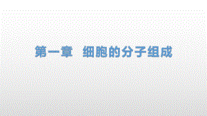 1.2 生物大分子以碳链为骨架（1）糖类 ppt课件-（新教材）2019新浙科版高中生物必修一(共41张PPT).pptx