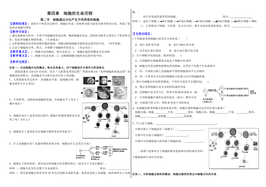 4.2细胞通过分化产生不同类型的细胞学案-（新教材）2019新浙科版高中生物必修一 (2).doc_第1页