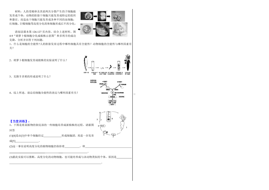 4.2细胞通过分化产生不同类型的细胞学案-（新教材）2019新浙科版高中生物必修一 (2).doc_第2页