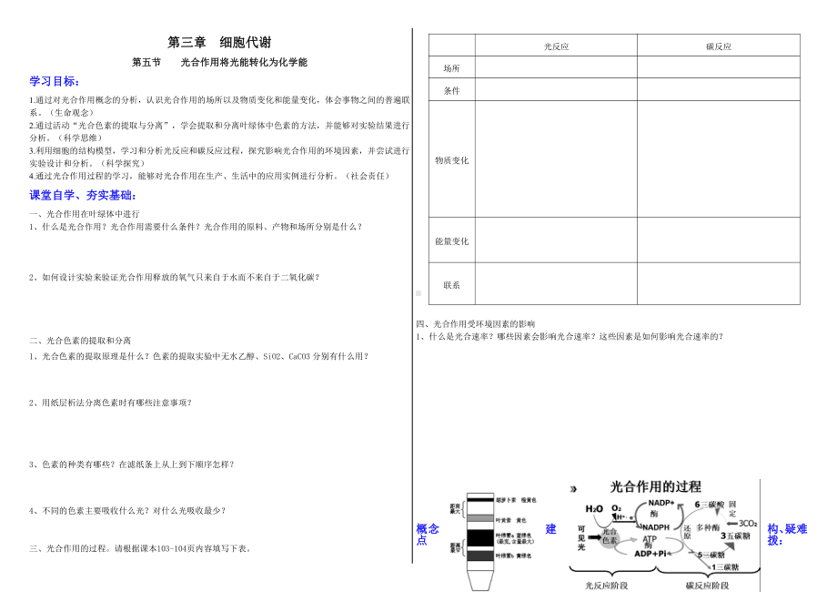 3.5光合作用将光能转化为化学能学案-（新教材）2019新浙科版高中生物必修一.doc_第1页