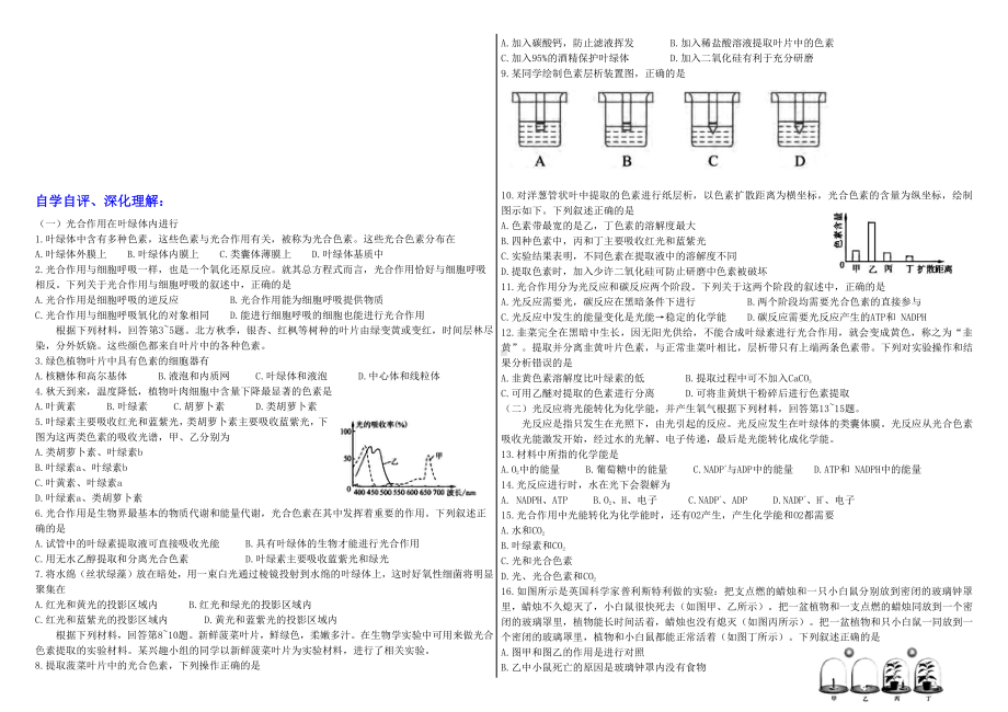 3.5光合作用将光能转化为化学能学案-（新教材）2019新浙科版高中生物必修一.doc_第2页