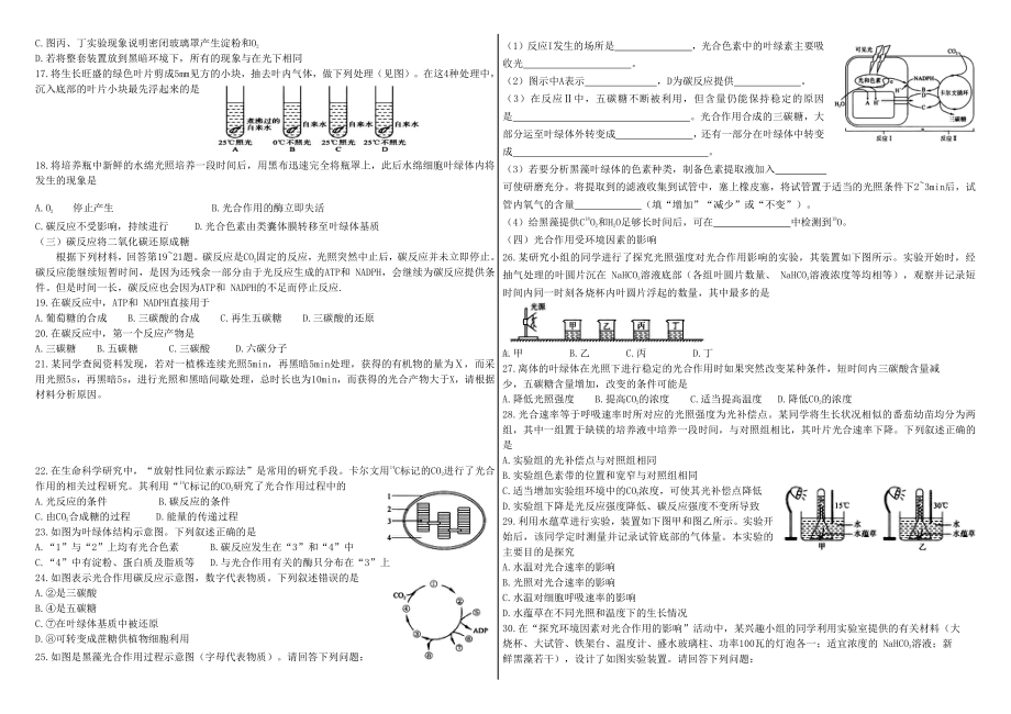 3.5光合作用将光能转化为化学能学案-（新教材）2019新浙科版高中生物必修一.doc_第3页