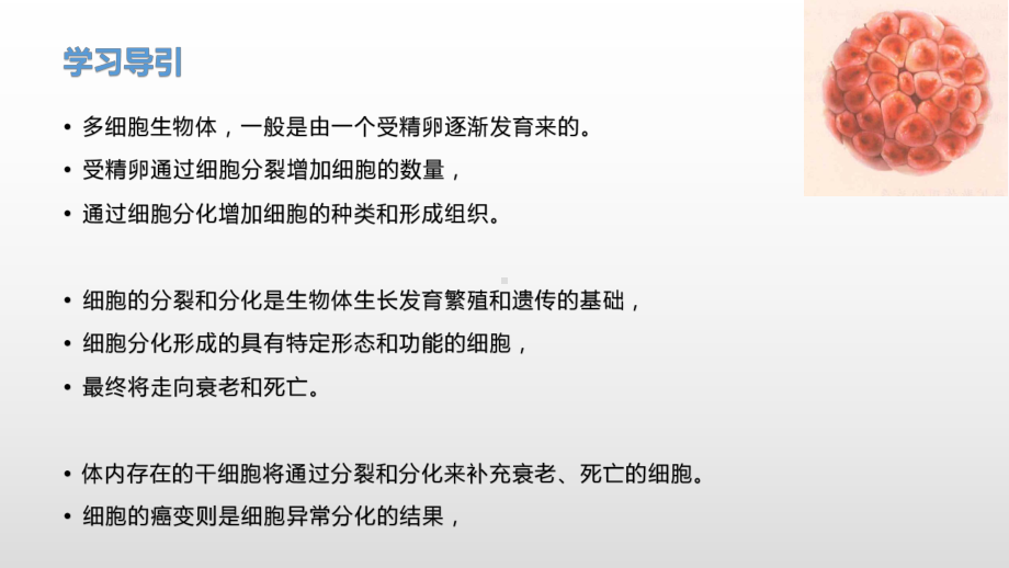 4.1 细胞通过分裂增殖（1） ppt课件-（新教材）2019新浙科版高中生物必修一.pptx_第2页