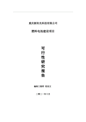 燃料电池项目可行性研究报告-用于立项备案.wps