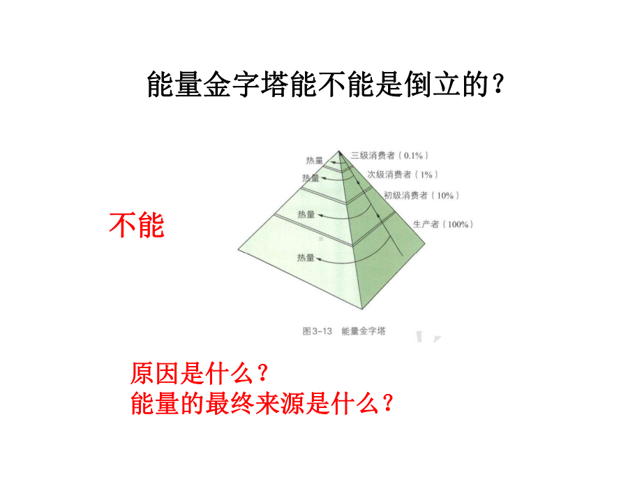 3.3生态系统中的能量单项递减流动ppt课件-（新教材）2019新浙科版高中生物选择性必修二.ppt_第1页