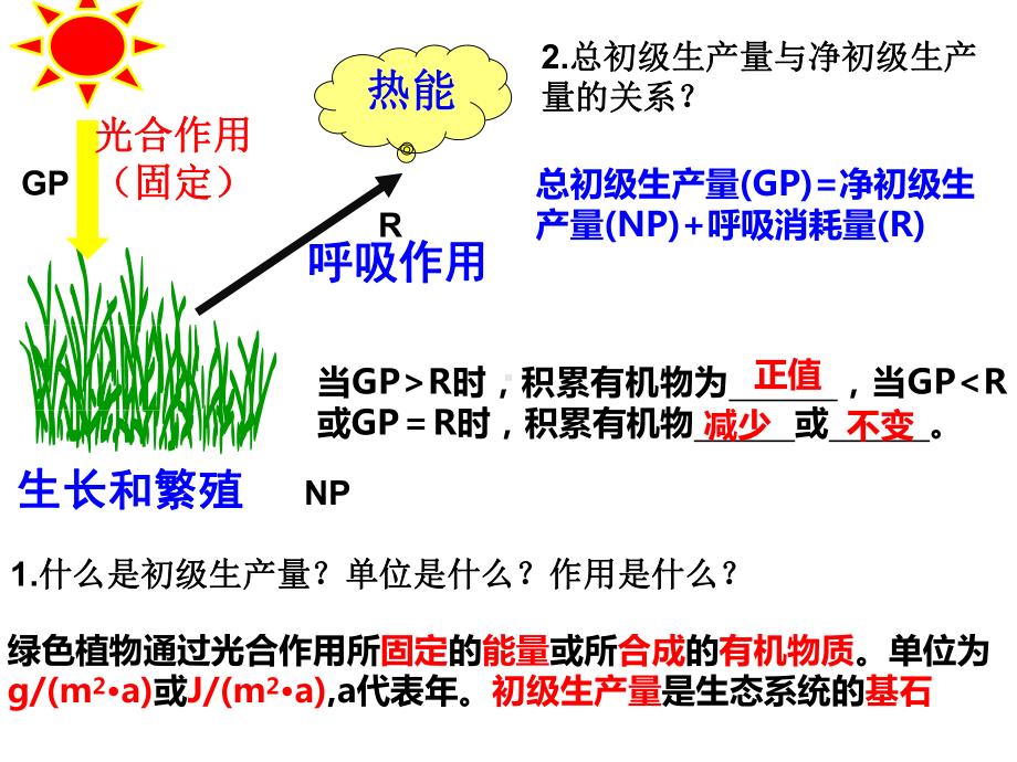 3.3生态系统中的能量单项递减流动ppt课件-（新教材）2019新浙科版高中生物选择性必修二.ppt_第3页