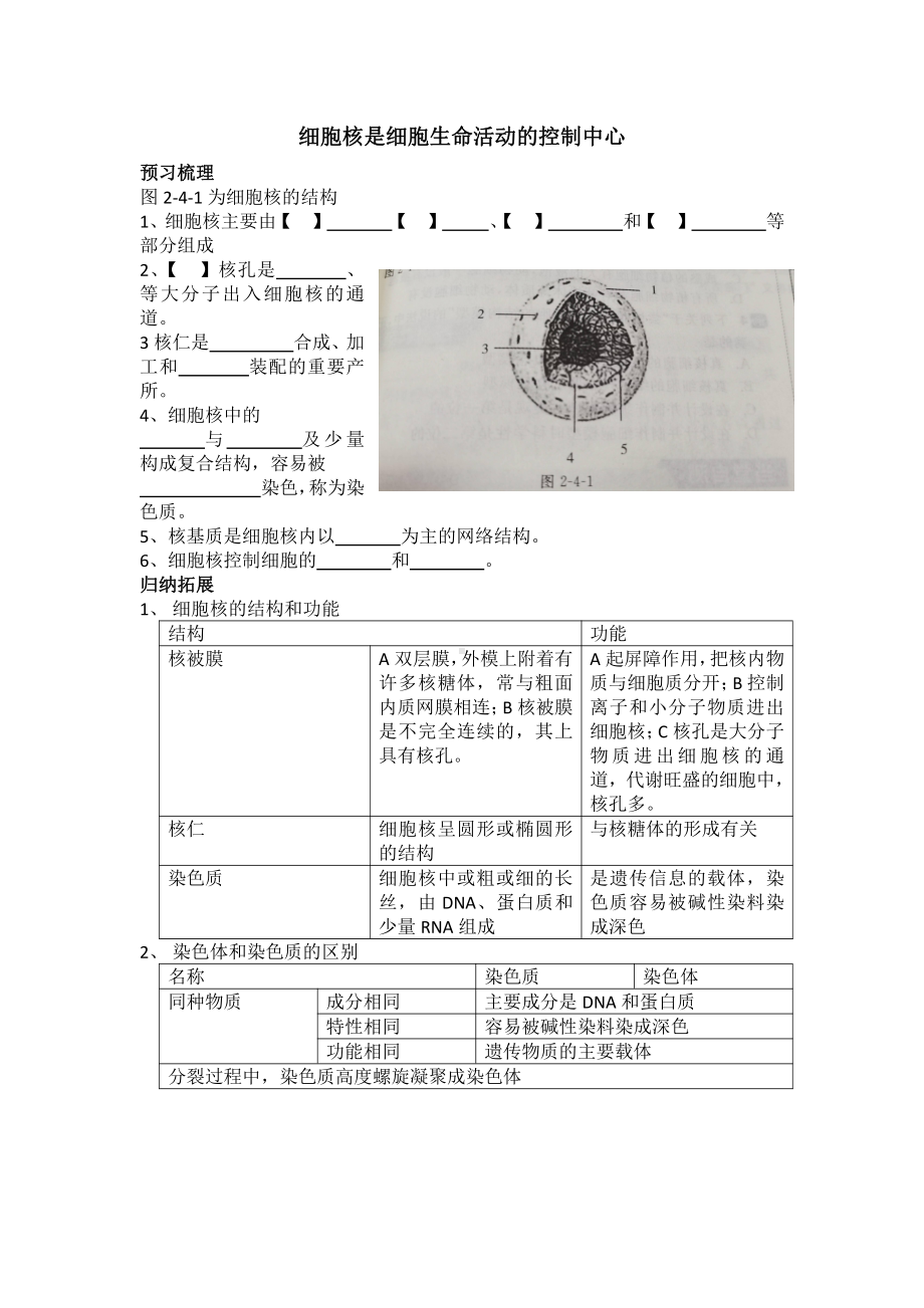 2.4细胞核是细胞生命活动的控制中心学案-（新教材）2019新浙科版高中生物必修一.doc_第1页