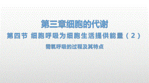 3.4 细胞呼吸为细胞生活提供能量（2）需氧呼吸的过程及其特点 ppt课件-（新教材）2019新浙科版高中生物必修一.pptx