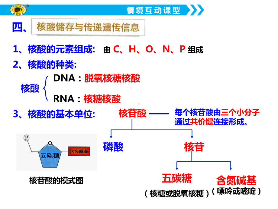 1.2.3核酸ppt课件-（新教材）2019新浙科版高中生物必修一.ppt_第2页