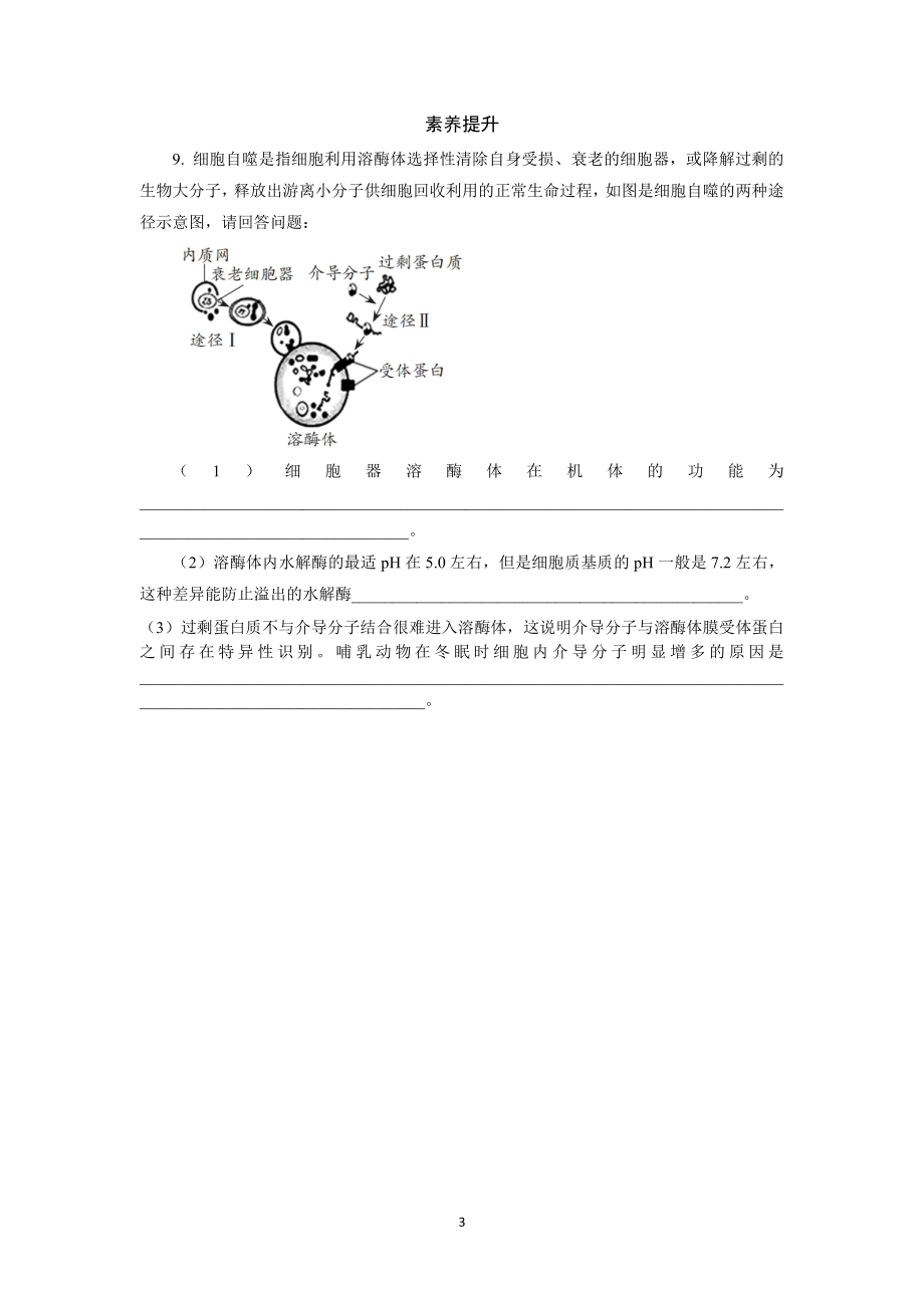 2.3 细胞质是多项生命活动的场所2 课后作业 -（新教材）2019新浙科版高中生物必修一.doc_第3页