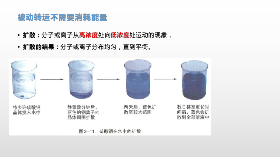 3.3 物质通过多种方式出入细胞(1)扩散与渗透 ppt课件-（新教材）2019新浙科版高中生物必修一.pptx_第3页