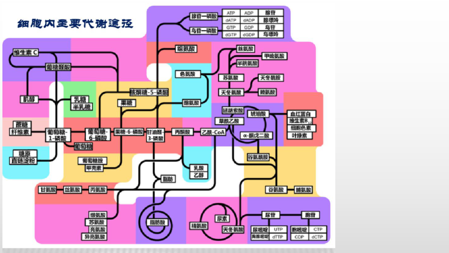 3.2 酶是生物催化剂（1、2） ppt课件-（新教材）2019新浙科版高中生物必修一.pptx_第3页