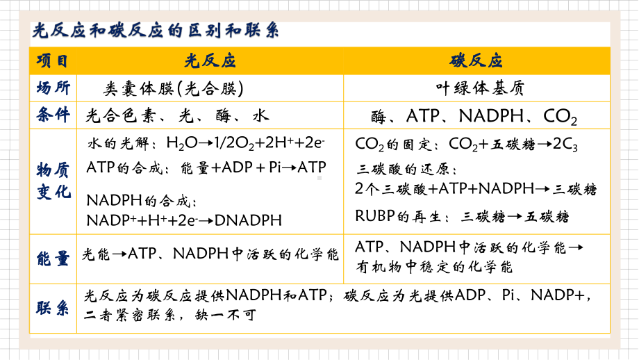 3.5光合作用2-ppt课件-（新教材）2019新浙科版高中生物必修一.pptx_第2页