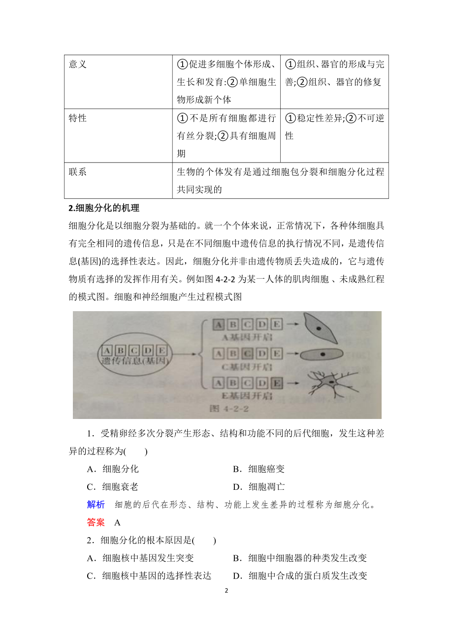 4.2细胞通过分化产生不同类型的细胞学案-（新教材）2019新浙科版高中生物必修一.doc_第2页