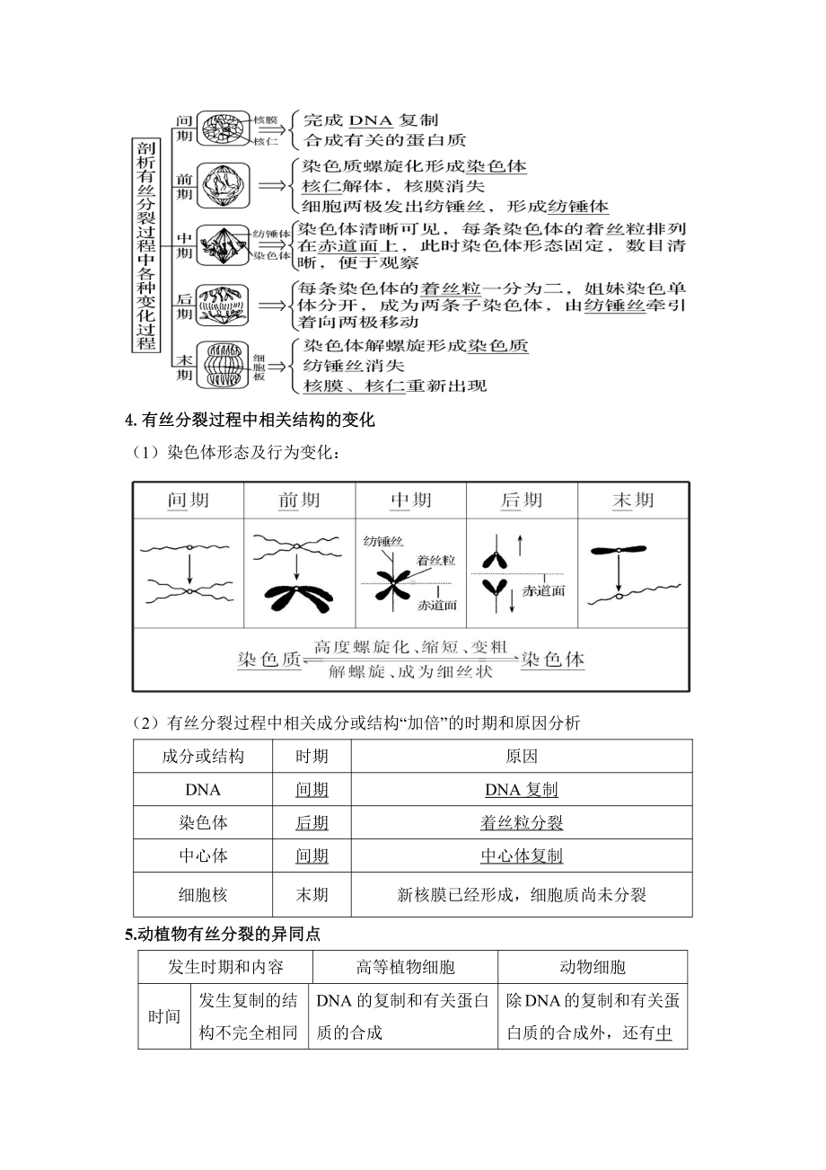 4.1细胞通过分裂增殖第二课时染色体在有丝分裂过程中呈现规律性变化和癌细胞学案-（新教材）2019新浙科版高中生物必修一.doc_第3页