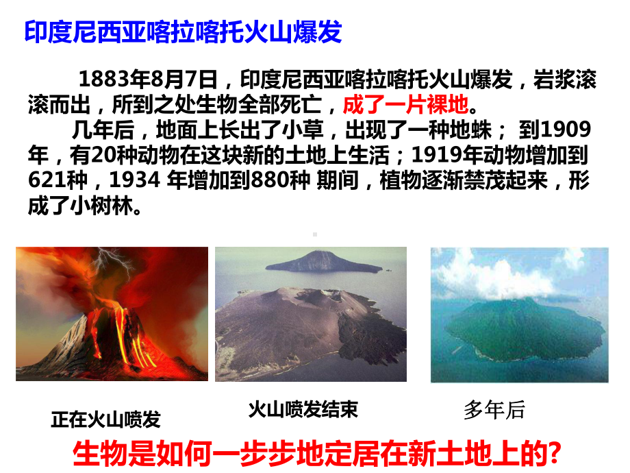 2.4群落随时间变化有序的演替ppt课件-（新教材）2019新浙科版高中生物选择性必修二.ppt_第3页