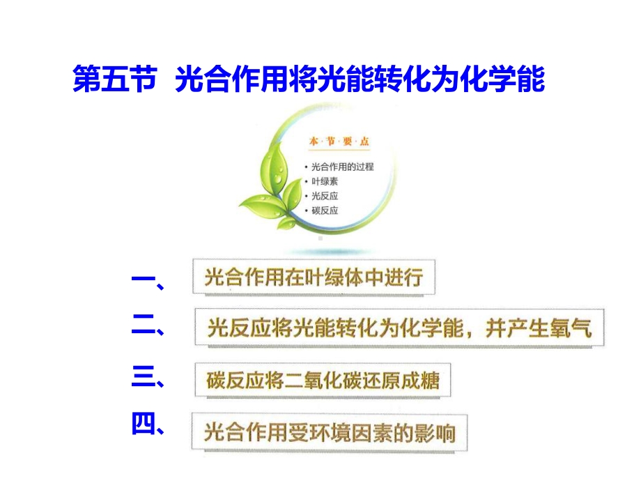 3.5光合作用将光能转化为化学能ppt课件-（新教材）2019新浙科版高中生物必修一.pptx_第1页