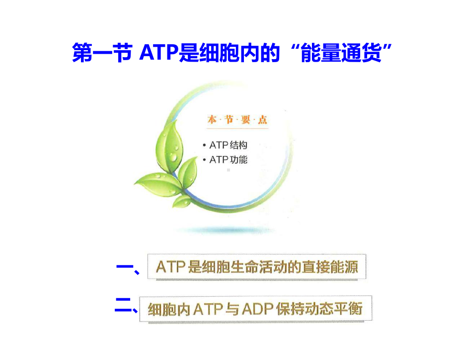 3.1ATP是细胞内的“能量通货”ppt课件-（新教材）2019新浙科版高中生物必修一.ppt_第1页