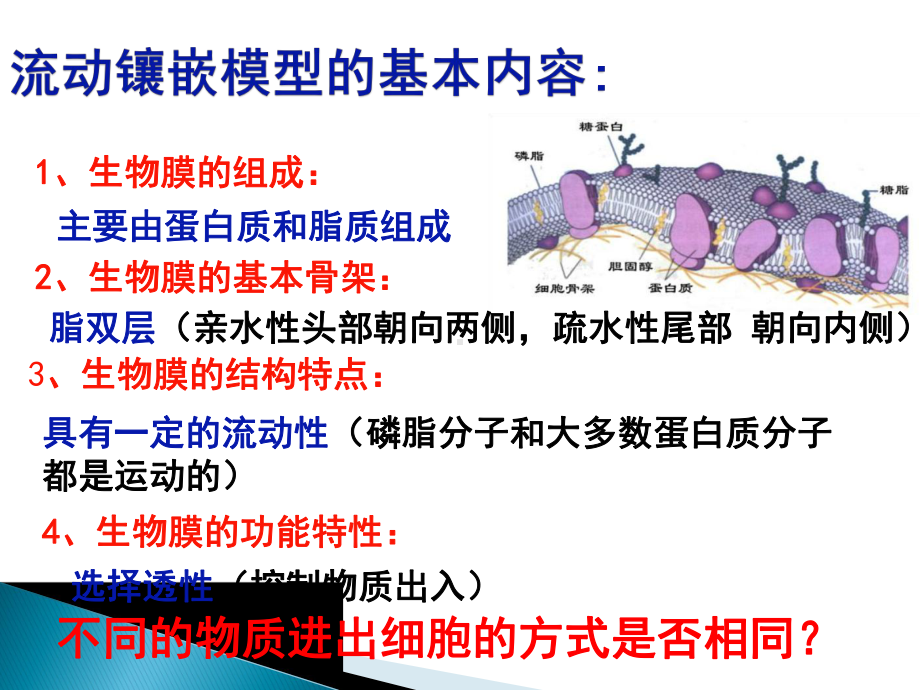 物质通过多种方式出入细胞.pptx_第2页