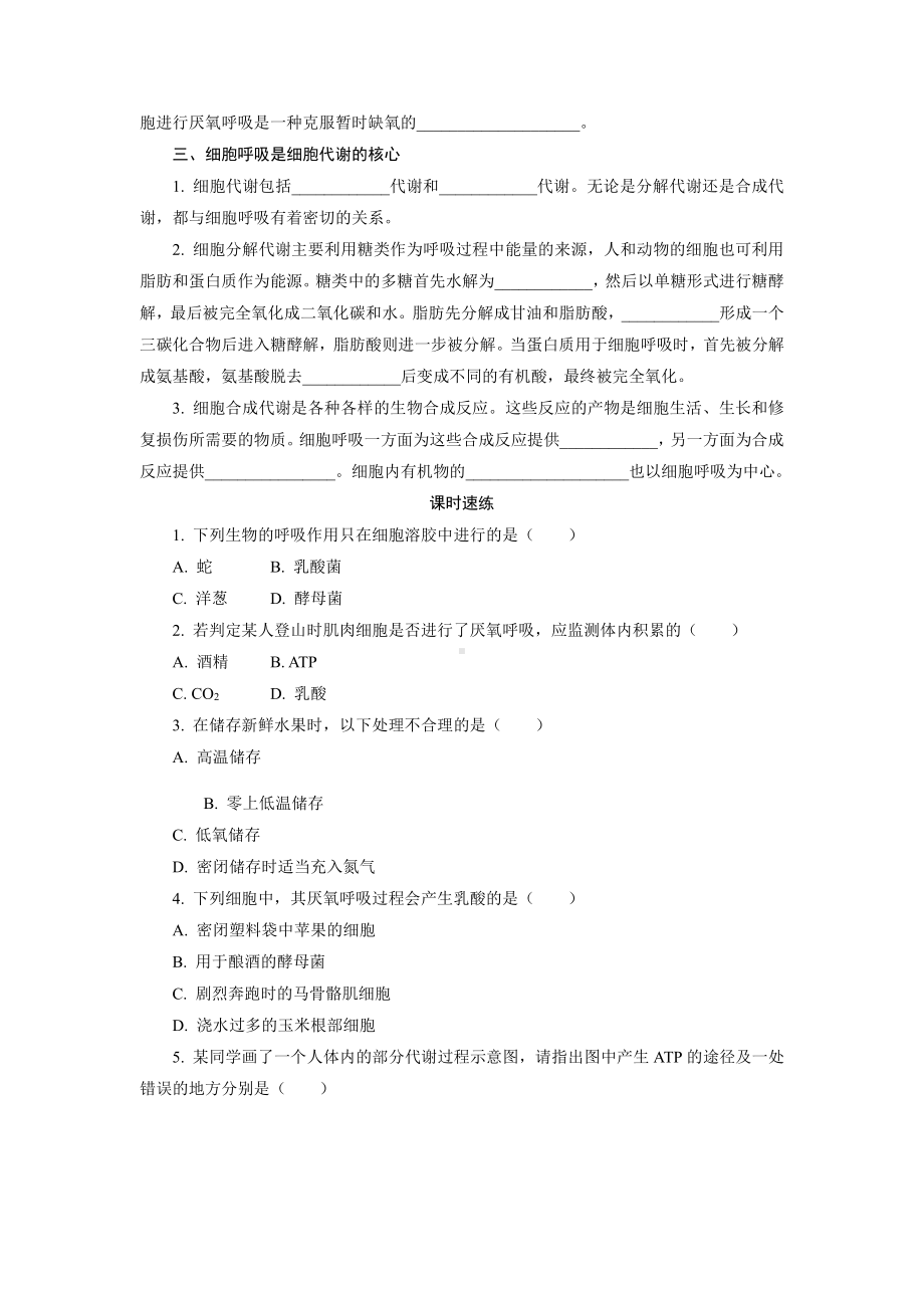 3.4.2 细胞呼吸为细胞生活提供能量 随堂作业-（新教材）2019新浙科版高中生物必修一.doc_第2页