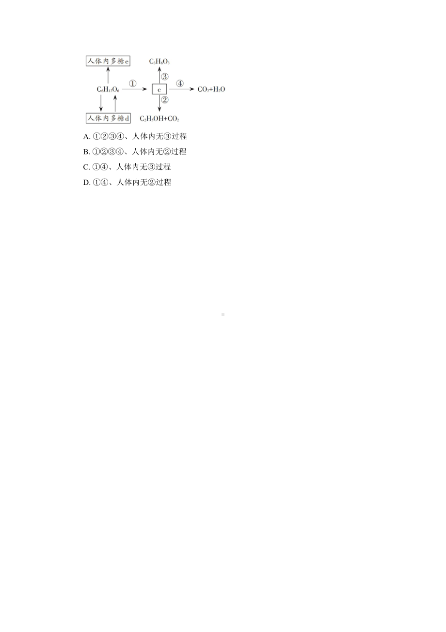 3.4.2 细胞呼吸为细胞生活提供能量 随堂作业-（新教材）2019新浙科版高中生物必修一.doc_第3页