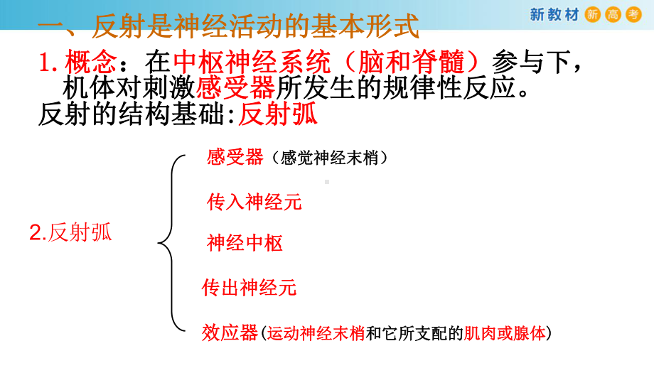 2.3人体通过神经调节对刺激作出反应ppt课件-（新教材）2019新浙科版高中生物选择性必修一.pptx_第2页