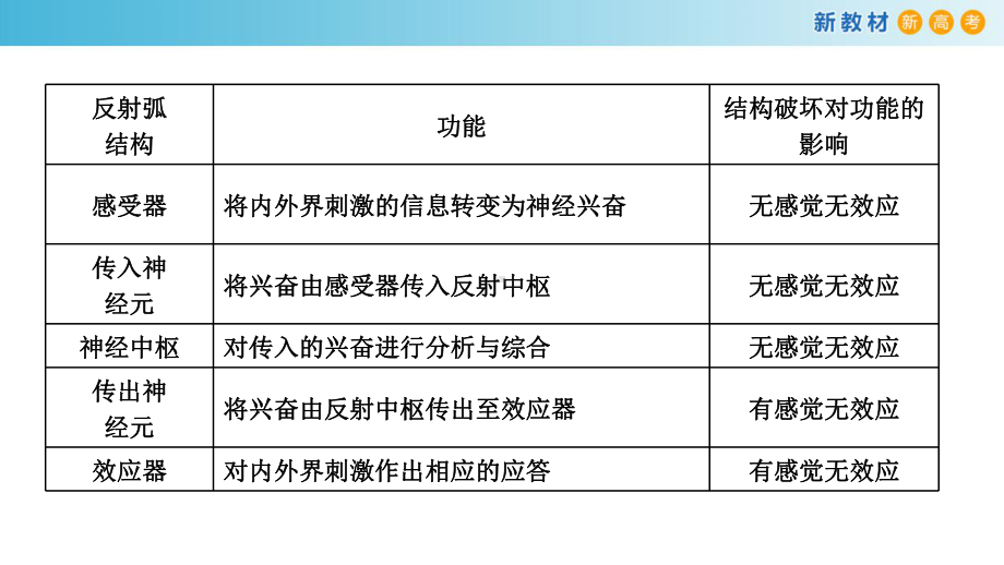 2.3人体通过神经调节对刺激作出反应ppt课件-（新教材）2019新浙科版高中生物选择性必修一.pptx_第3页