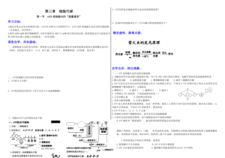 3.1ATP是细胞内的“能量通货”学案-（新教材）2019新浙科版高中生物必修一.doc_第1页